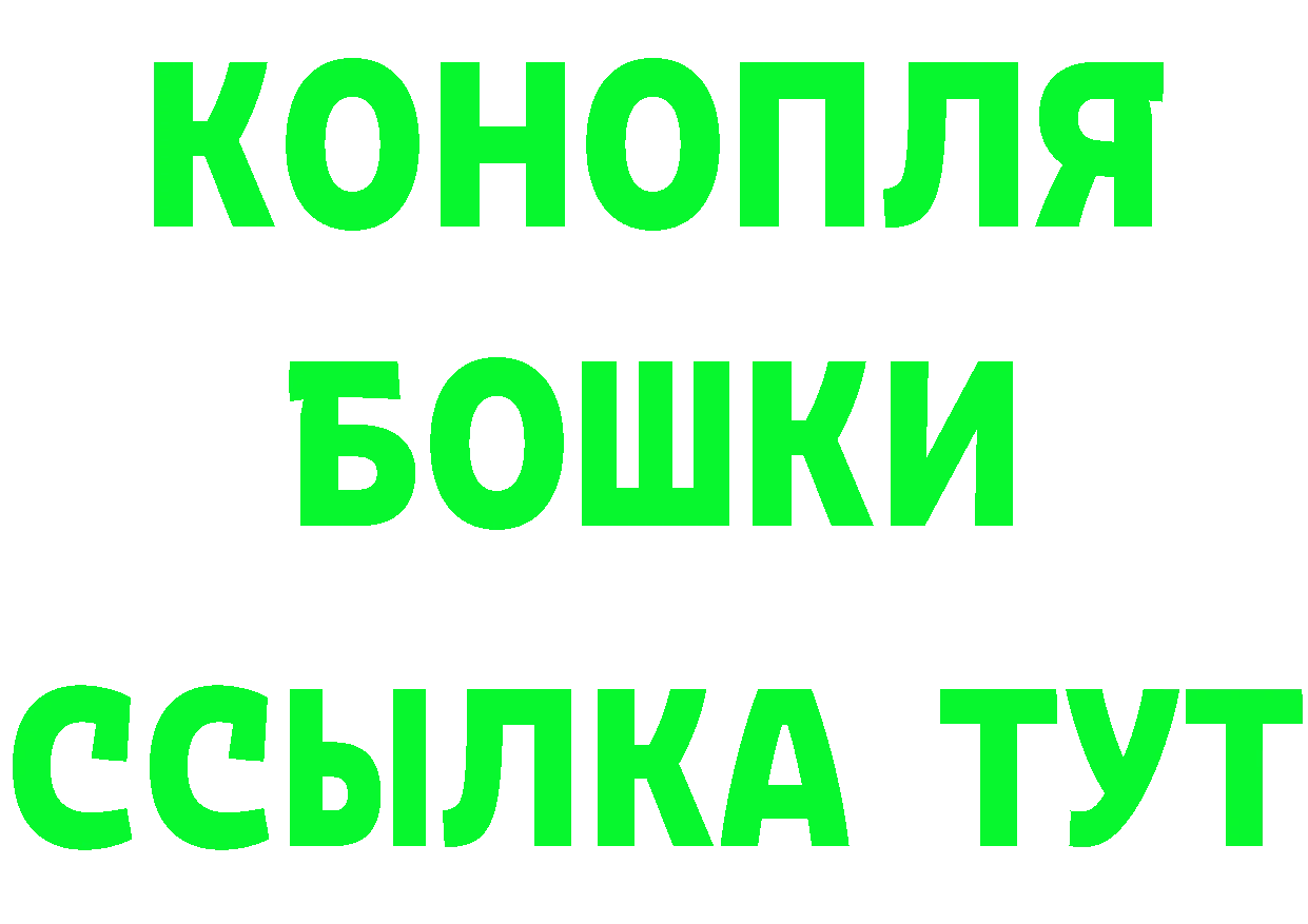 ГАШ Ice-O-Lator tor площадка блэк спрут Осташков